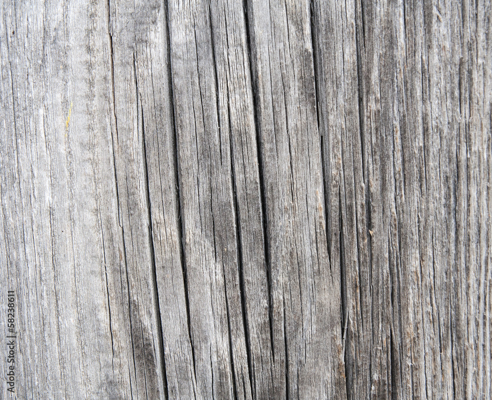 colored old wood background