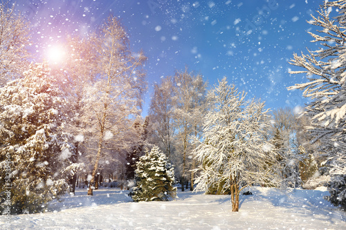 Beautiful winter landscape © nmelnychuk