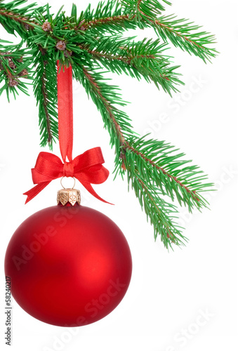 Christmas ball hanging on a fir tree branch Isolated on white ba