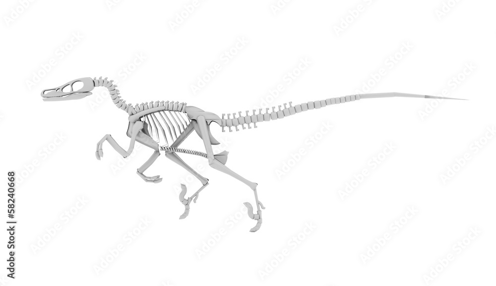 Dinosaur skeleton concept rendered Dinosaur skeleton concept rendered