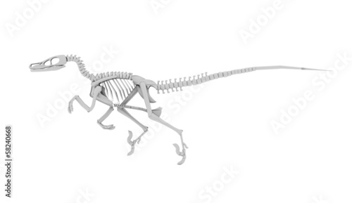 Dinosaur skeleton concept rendered photo