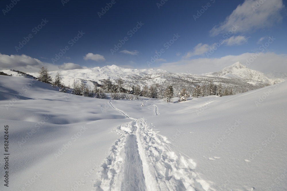 Ski tracks in powder snow