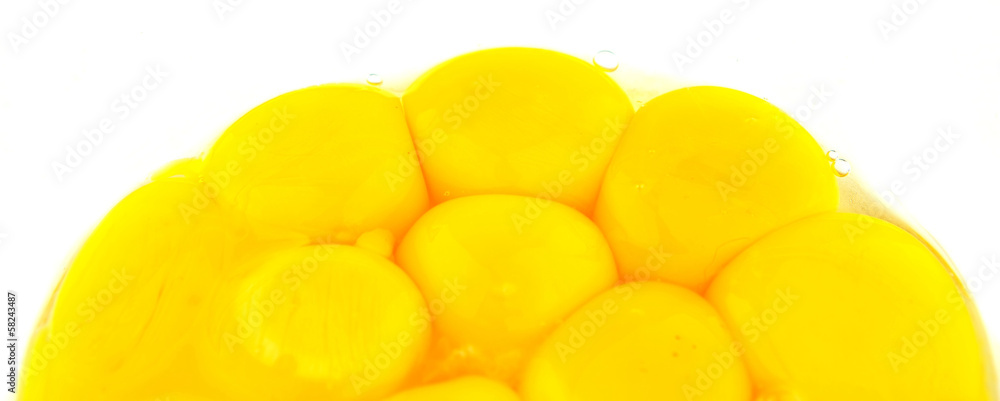A group of egg yolks without egg whites A group of egg yolks without egg whites