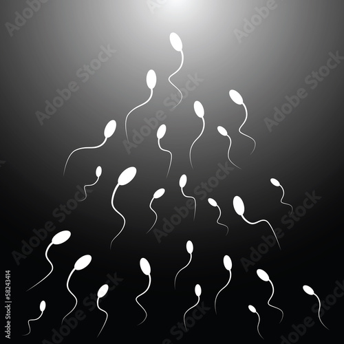 Vector illustration of spermatozoon