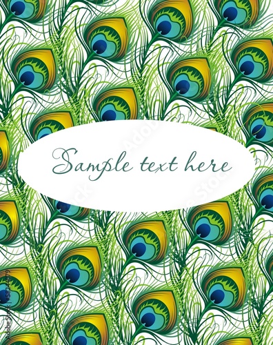 Vector peacock feathers