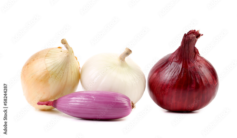 Different types of onion.