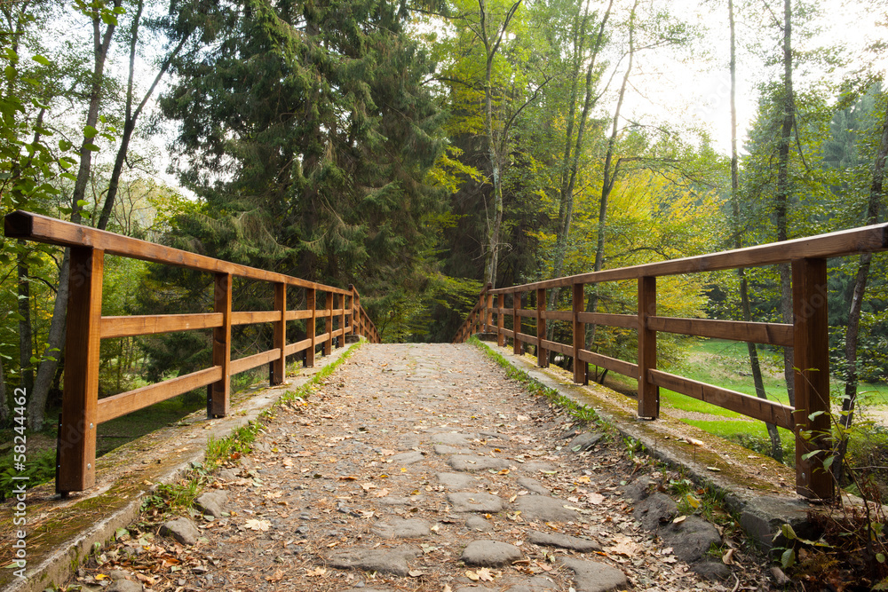 Bridge with railings leading towards forest Bridge with railings leading towards forest