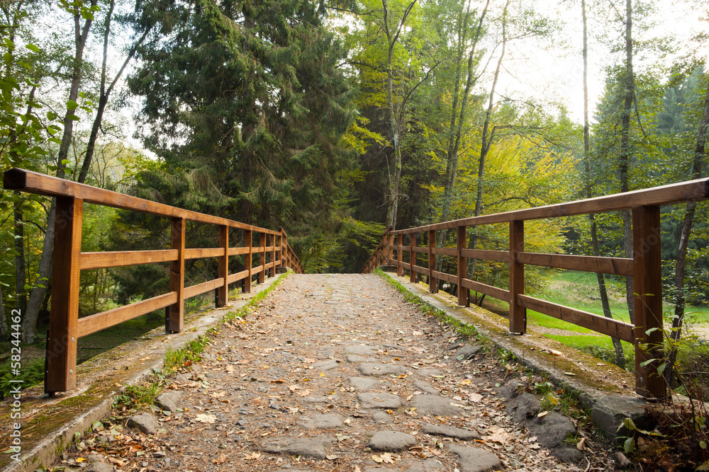 Bridge with railings leading towards forest