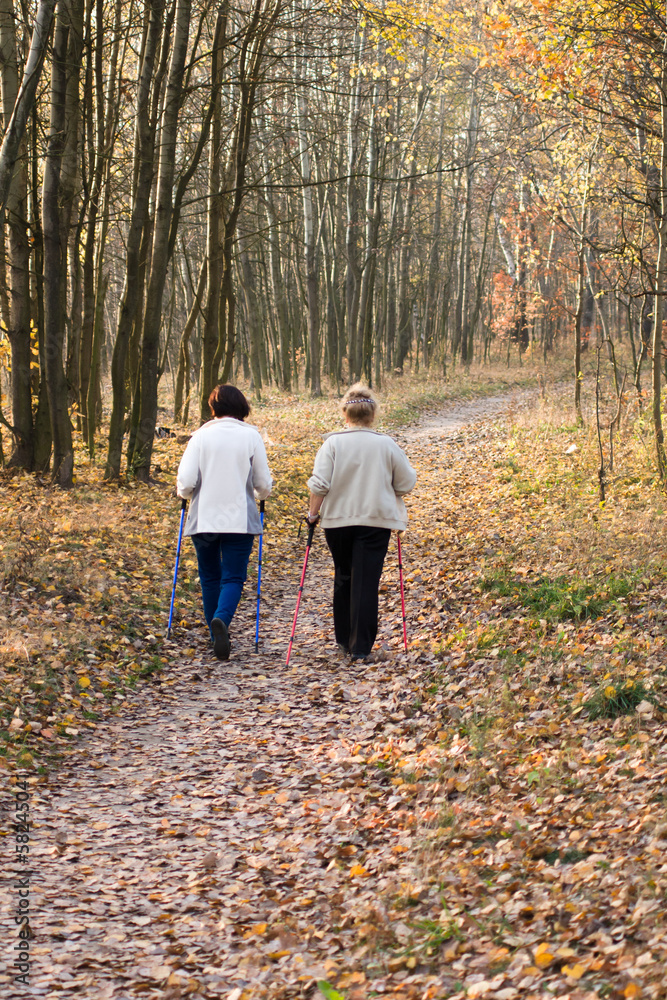 Fototapeta premium starsze kobiety uprawiające nordic walking, jesienny las