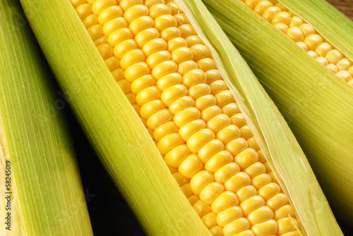corn cob