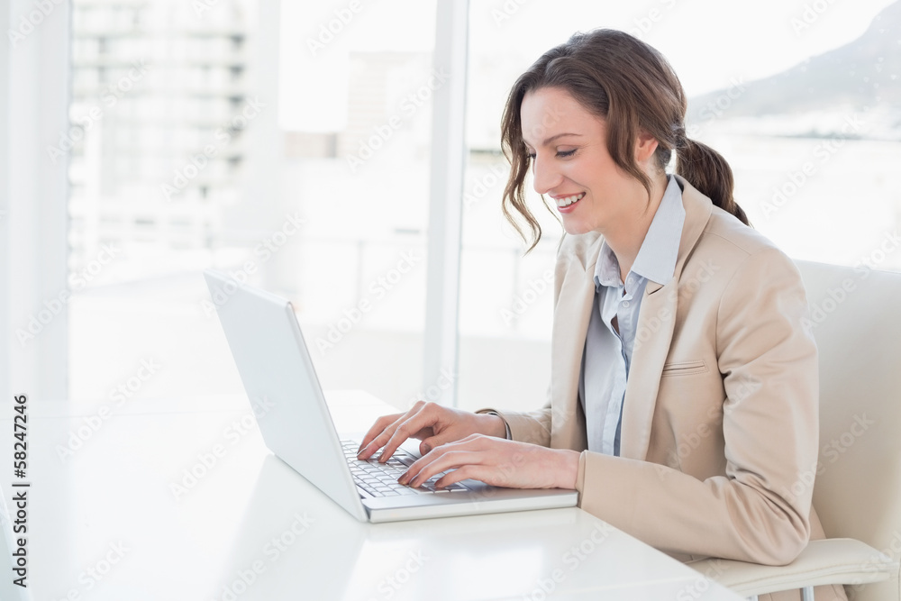 Smiling young businesswoman using laptop in office Smiling young businesswoman using laptop in office
