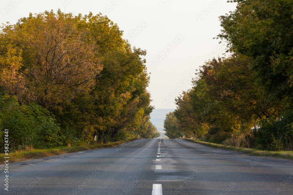 Tarmac country road along trees and against clear sky Tarmac country road along trees and against clear sky