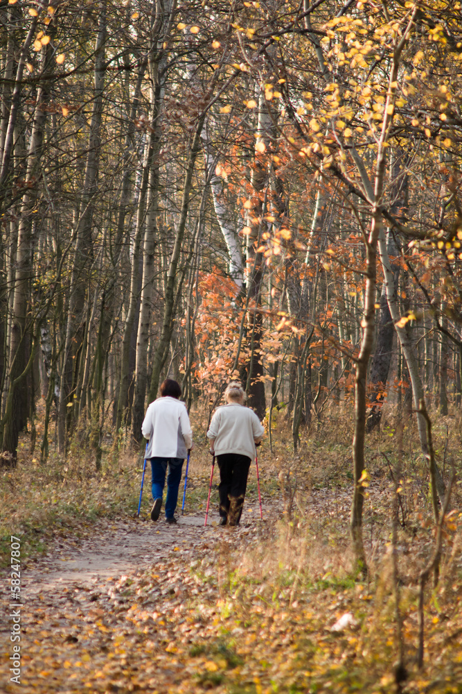 starsze kobiety uprawiające nordic walking, jesienny las starsze kobiety uprawiające nordic walking, jesienny las