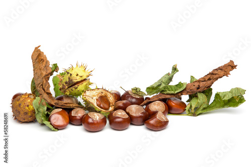 Autumn - Chestnuts - Border with Leaves, Isolated on White photo