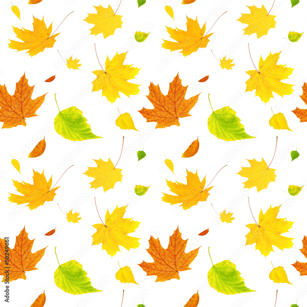 Fototapeta premium Seamless background with flying autumn leaves