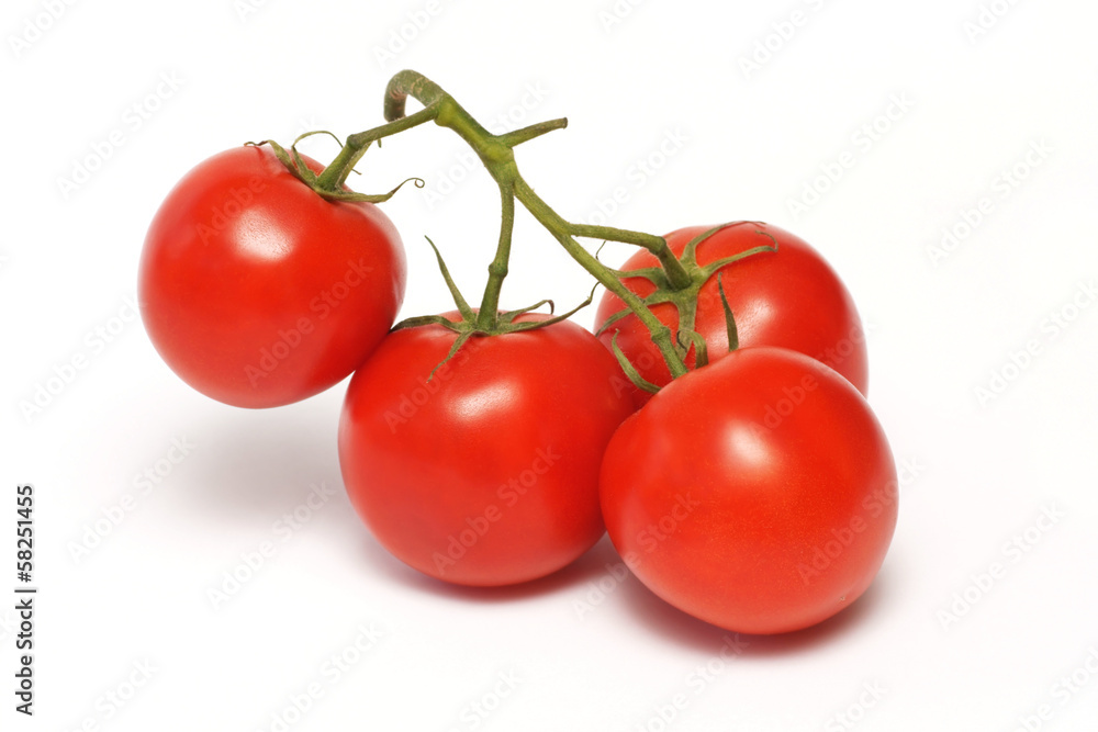 Tomato, vegetable on the branch Tomato, vegetable on the branch