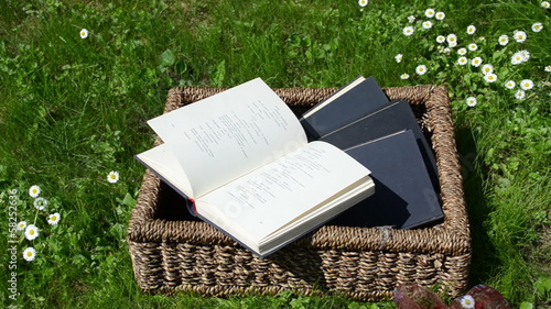 Wicker basket full of books and wind thumb book pages in garden