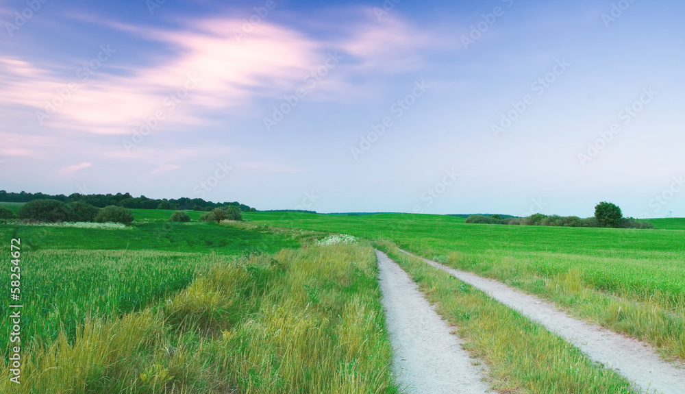 field landscape field landscape