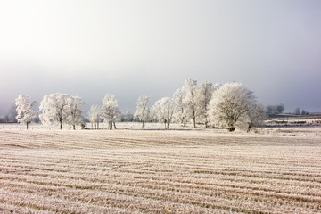 Frozen winter landscape