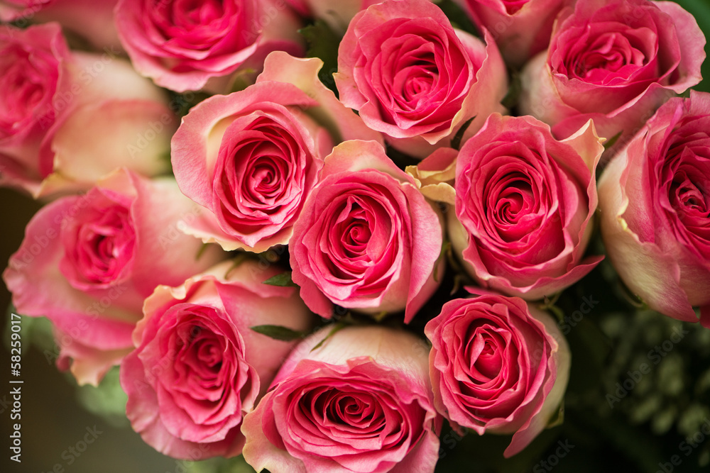 Nice roses in celebration concept Nice roses in celebration concept
