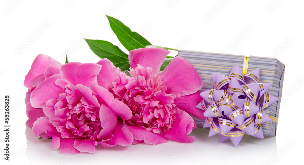 Beautiful pink peonies and the striped gift box Beautiful pink peonies and the striped gift box