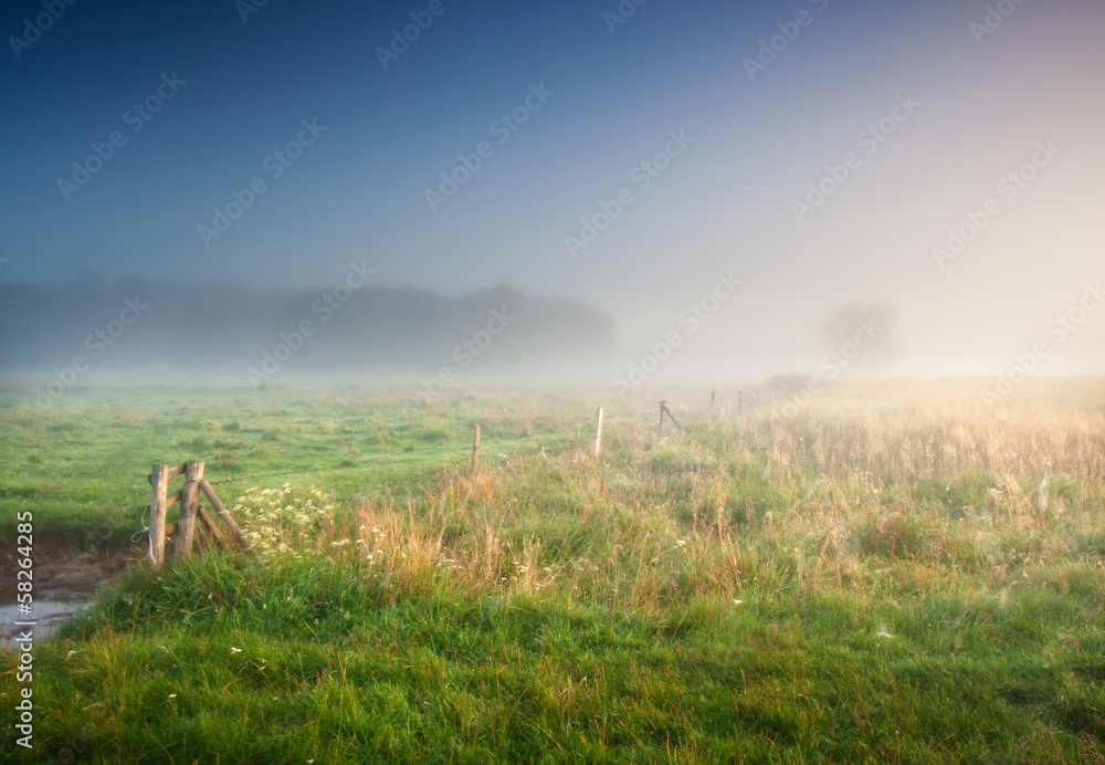 foggy morning on meadow. rural landscape