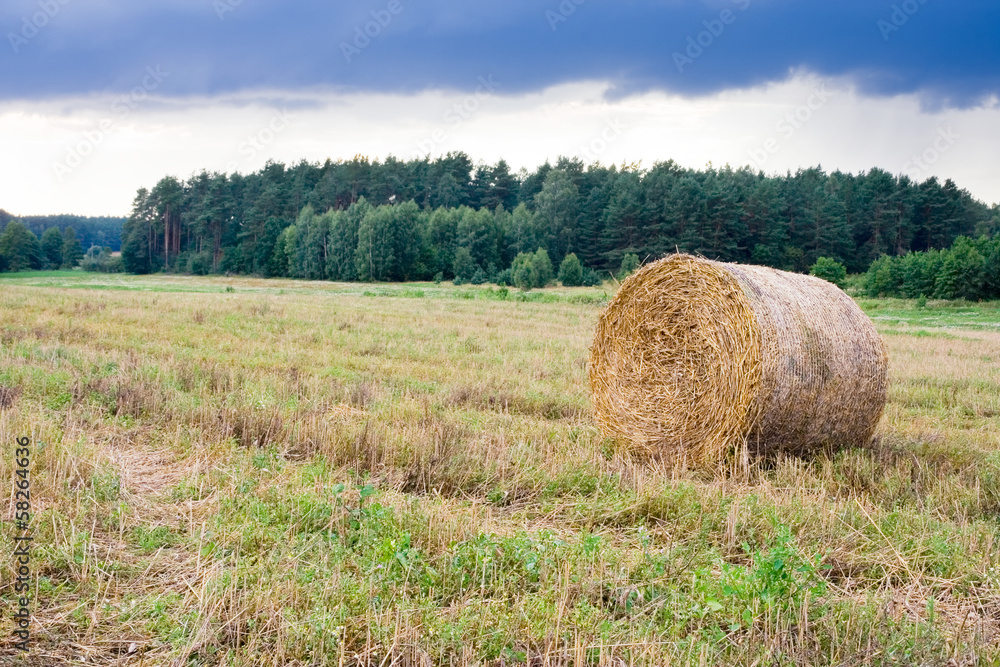 straw bale on stubble field under stormy sky