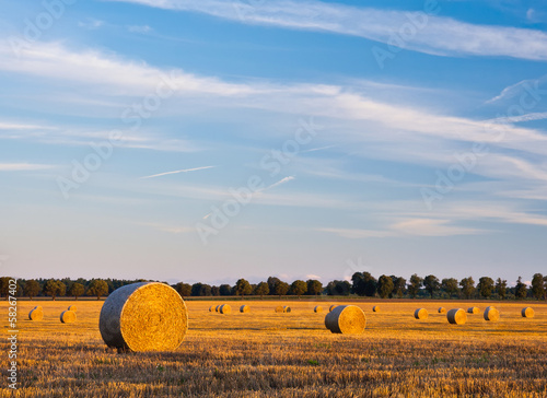 bales of straw at sunset. rural landscape