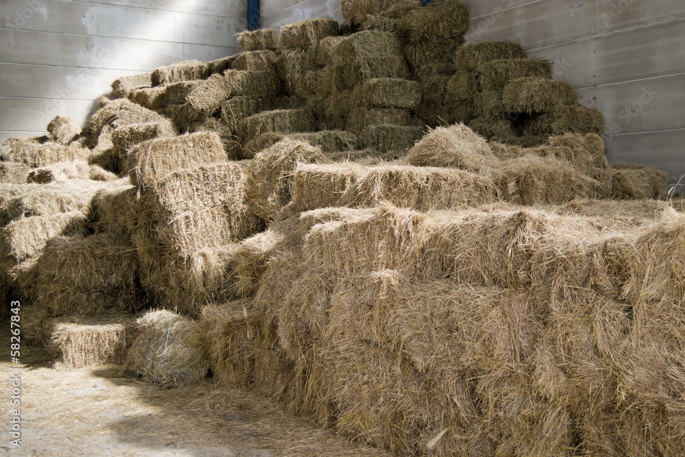 Fototapeta premium A huge hay stack in a barn