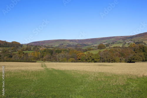 moorlands in autumn