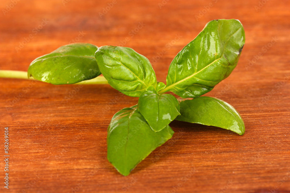 Fototapeta premium Green fresh basil on wooden background