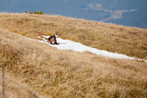 Beautiful Tatry mountains landscape Czerwone Wierchy photo