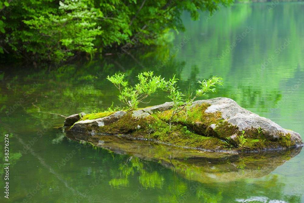 Obraz premium 池の岩