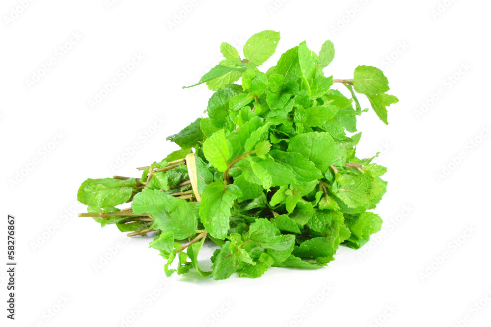 Mint isolated on white Mint isolated on white