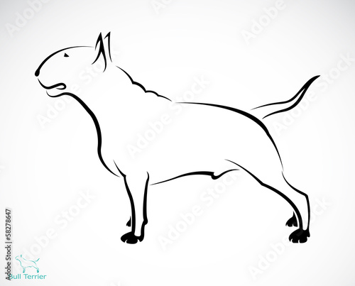 Vector image of an bull terrier
