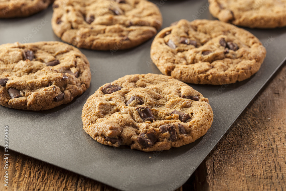 Homemade Chocolate Chip Cookies Homemade Chocolate Chip Cookies