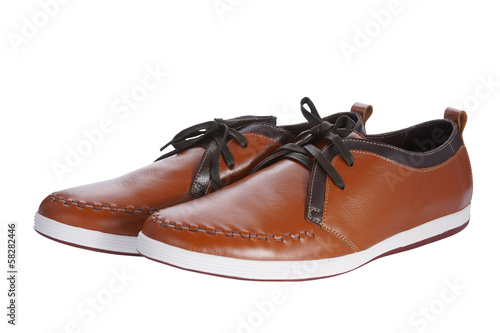 Brown Male Shoe