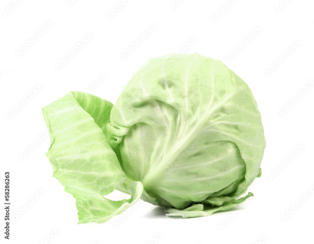 Whole green cabbage.