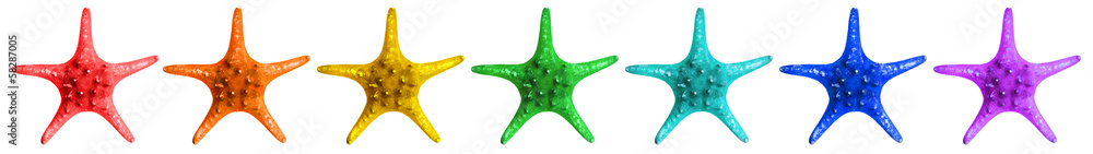 Naklejka premium Rainbow colors set of beautiful starfish isolated on white