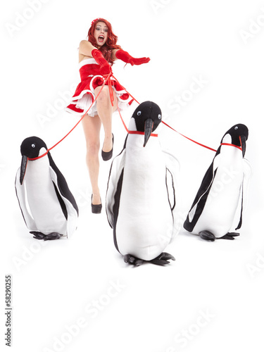 Pin-up fashion woman with penguin