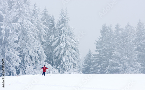 winterlandschaft skifahrer
