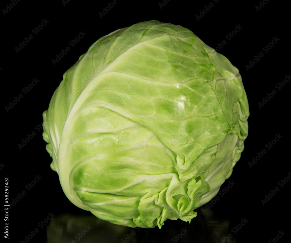 Fototapeta premium The white cabbage