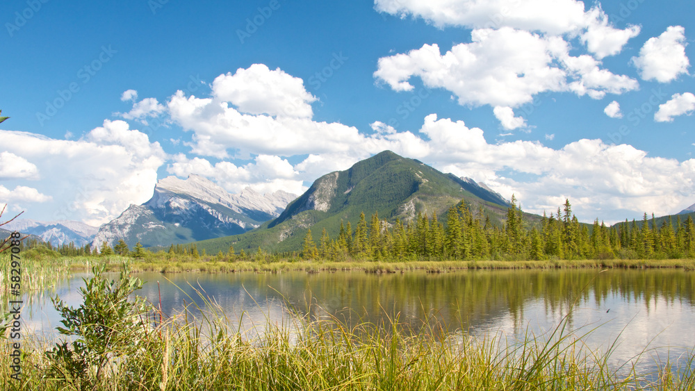 Vermillion Lakes behind grass
