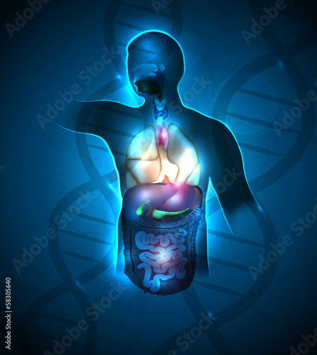 Abstract human anatomy background, DNA