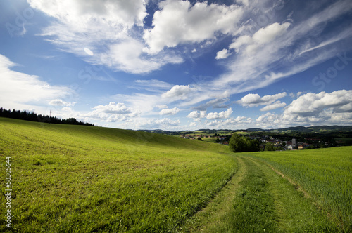 Landschaft