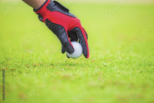 Photos put the golf ball