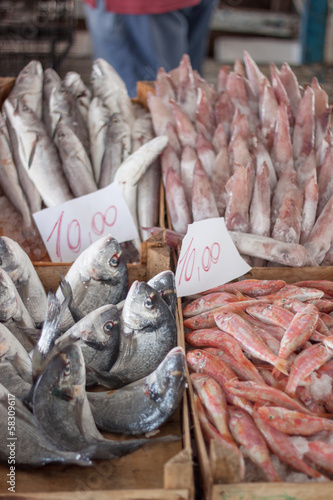 Fresh fish at fish market photo