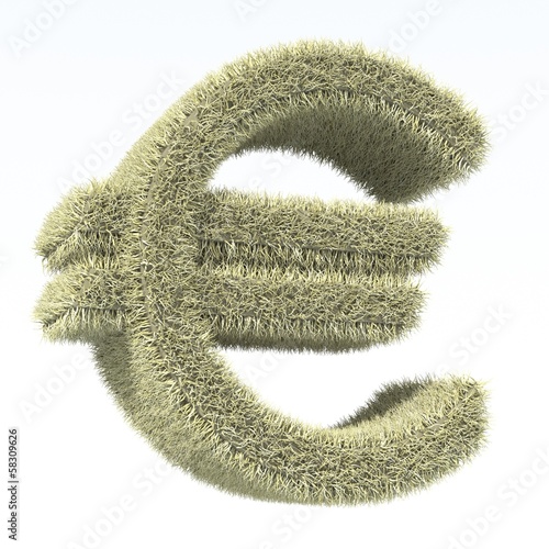 Euro moneta photo