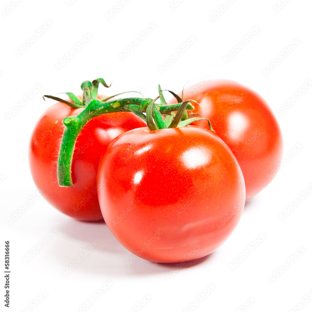 Closeup of tomatoes on the vine isolated on white Closeup of tomatoes on the vine isolated on white