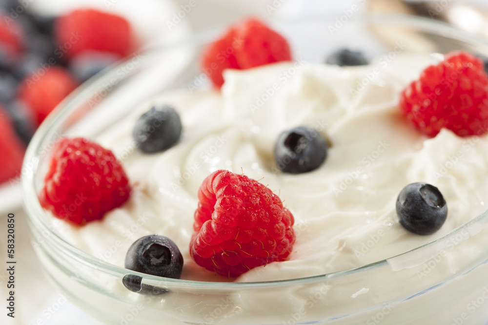Fresh Organic Healthy Yogurt Fresh Organic Healthy Yogurt
